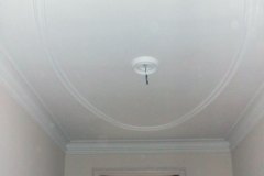 233_detail